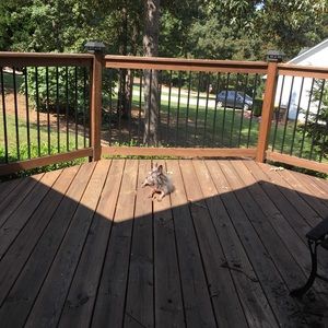 Meet your Posher, Alma